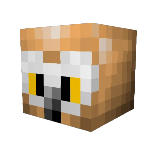 baconxeggs Minecraft avatar head, 3D render