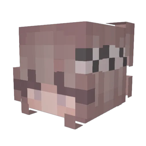 bactoria Minecraft avatar head, 3D render