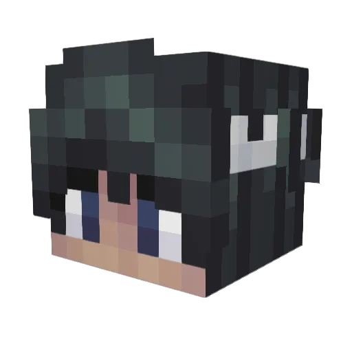 bad4ssqueen Minecraft avatar head, 3D render