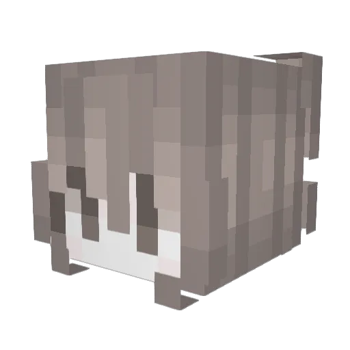 badcrystals Minecraft avatar head, 3D render