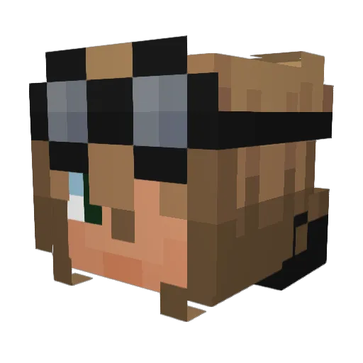 baddienigel Minecraft avatar head, 3D render