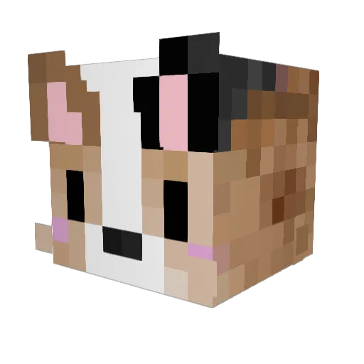 baddog712 Minecraft avatar head, 3D render
