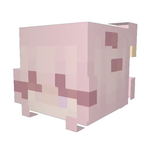badgebunny69 Minecraft avatar head, 3D render