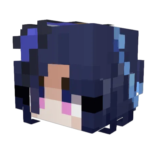 badgej Minecraft avatar head, 3D render