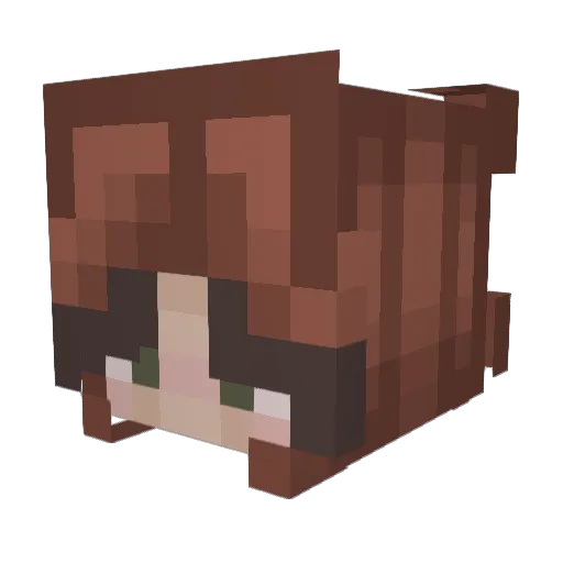 badger12323 Minecraft avatar head, 3D render