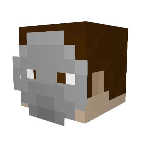 badidea2 Minecraft avatar head, 3D render