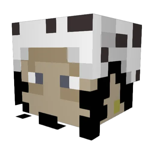 badplayer5840 Minecraft avatar head, 3D render
