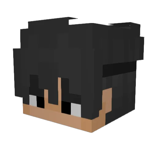badyyy_ Minecraft avatar head, 3D render