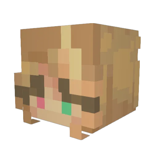 baeboy Minecraft avatar head, 3D render