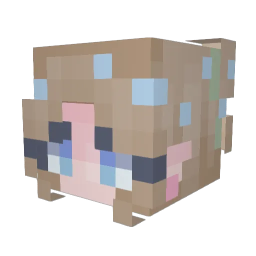 baechelxD Minecraft avatar head, 3D render