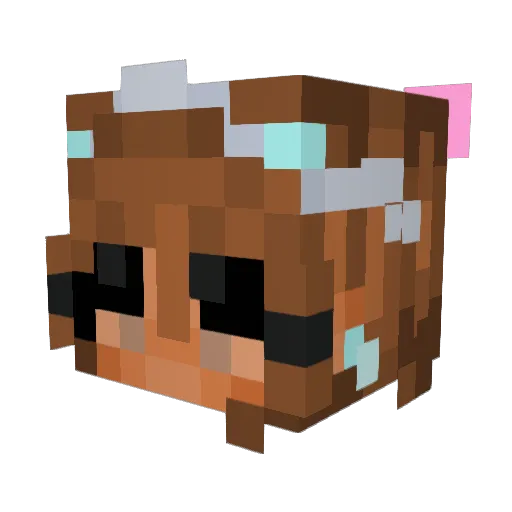 baehelpmaddie Minecraft avatar head, 3D render