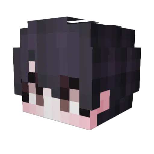 baejunhyeok Minecraft avatar head, 3D render