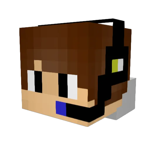 baekan211 Minecraft avatar head, 3D render