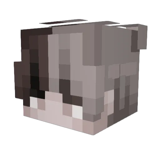 baekmyow Minecraft avatar head, 3D render