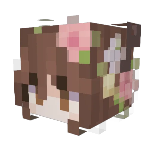 baekyu Minecraft avatar head, 3D render