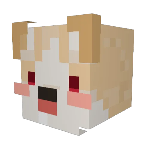 baemax01 Minecraft avatar head, 3D render