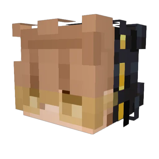 baeome99 Minecraft avatar head, 3D render