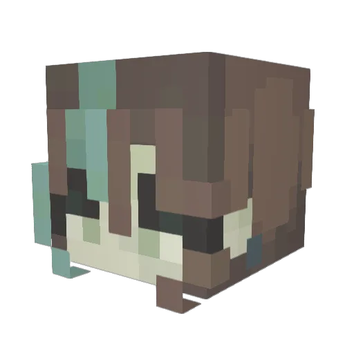 baewyatt Minecraft avatar head, 3D render