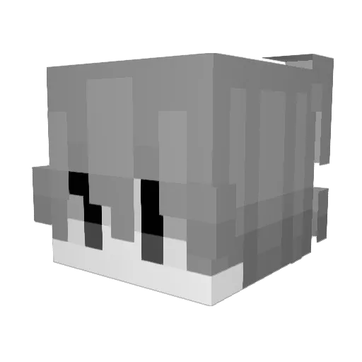 bafora Minecraft avatar head, 3D render