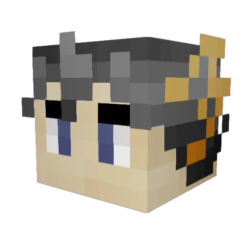 bag445 Minecraft avatar head, 3D render