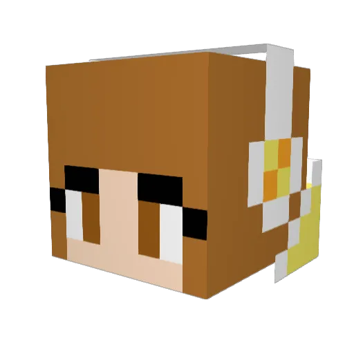 bag528 Minecraft avatar head, 3D render