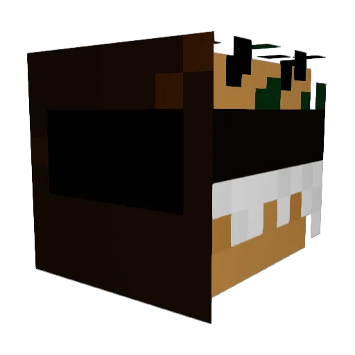 bagel52 Minecraft avatar head, 3D render