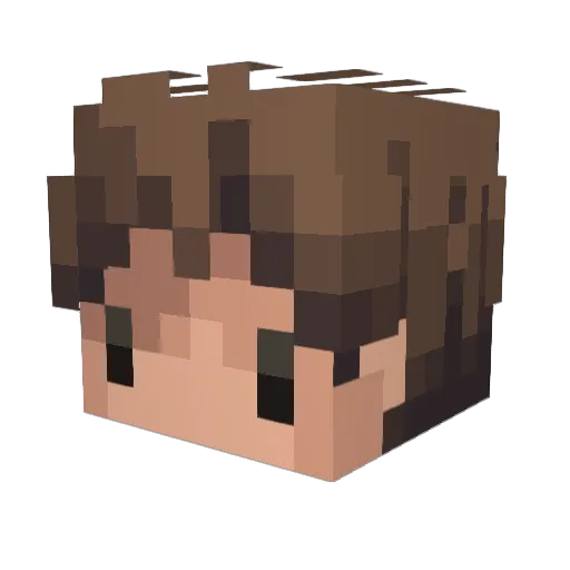 bagel_ Minecraft avatar head, 3D render