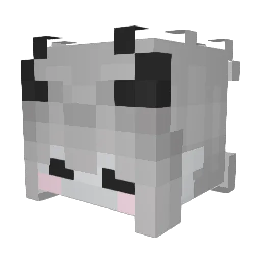 bagel_is_yum Minecraft avatar head, 3D render