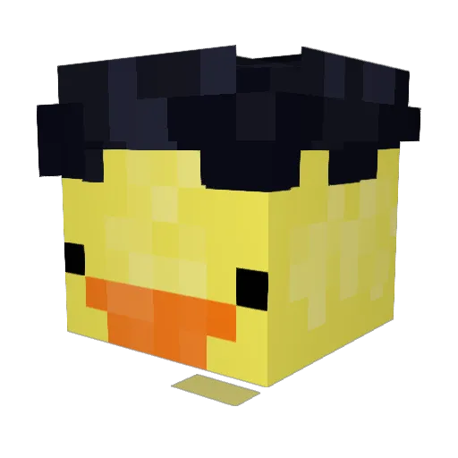 bagelbro112 Minecraft avatar head, 3D render