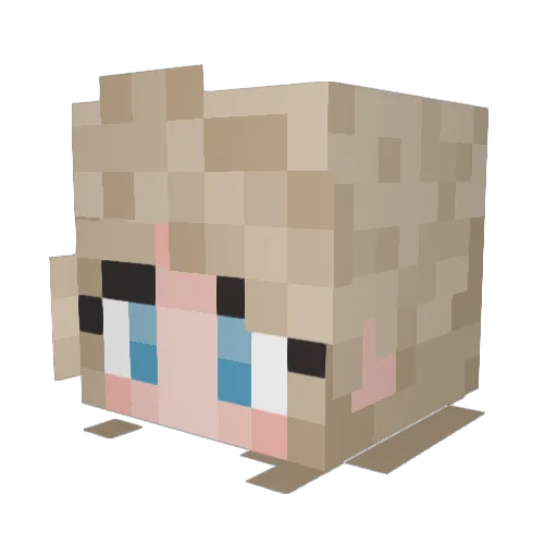 bageldogg Minecraft avatar head, 3D render