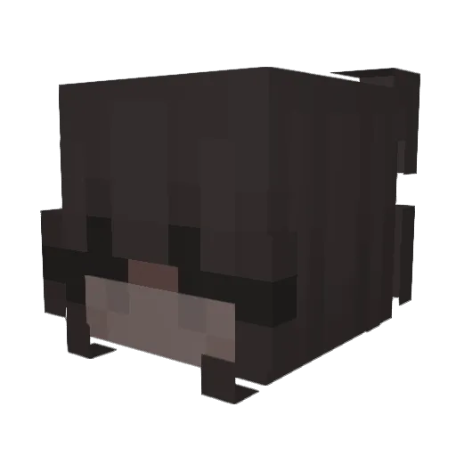 bagellover420 Minecraft avatar head, 3D render