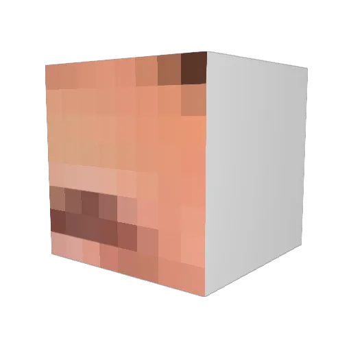 bagelmelon Minecraft avatar head, 3D render