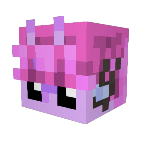 bagelperson_ Minecraft avatar head, 3D render