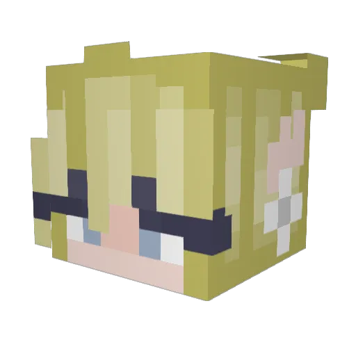 bagelsrule2 Minecraft avatar head, 3D render