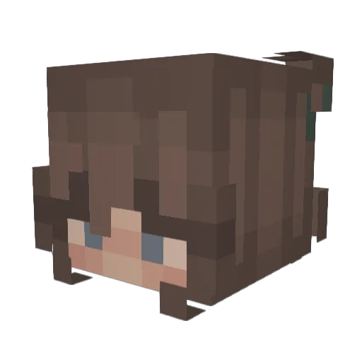 bageluvr Minecraft avatar head, 3D render