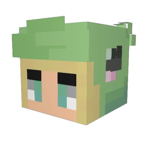 baggle0person Minecraft avatar head, 3D render