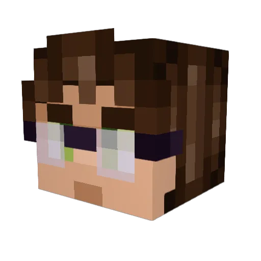bagheeera_ Minecraft avatar head, 3D render