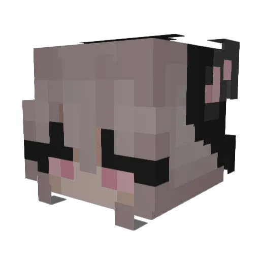 bagiiraa Minecraft avatar head, 3D render