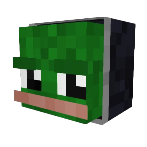 bagins14 Minecraft avatar head, 3D render