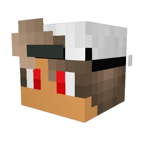 bagmai Minecraft avatar head, 3D render