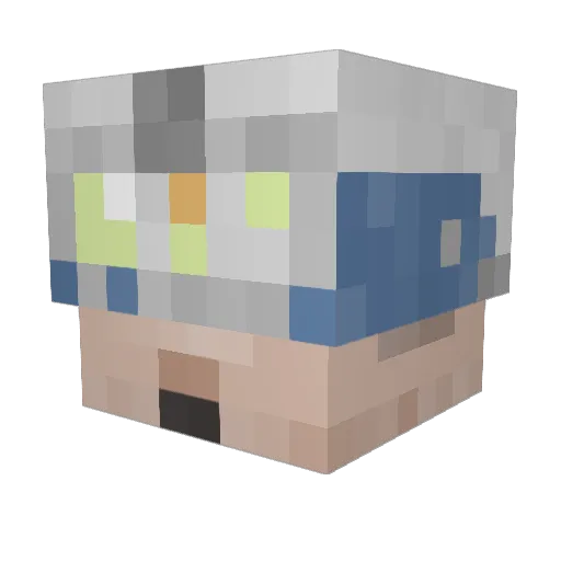 bagn8 Minecraft avatar head, 3D render