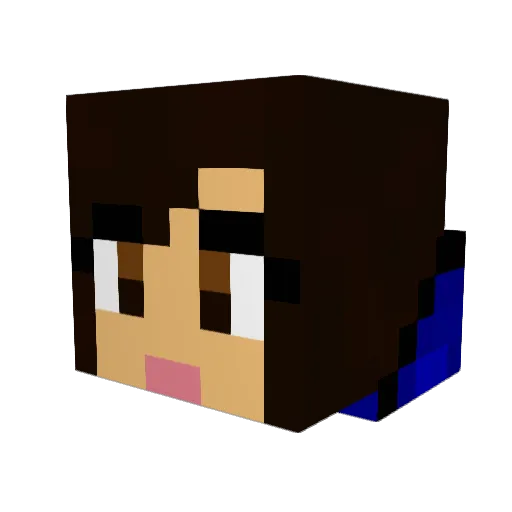 bagr565 Minecraft avatar head, 3D render