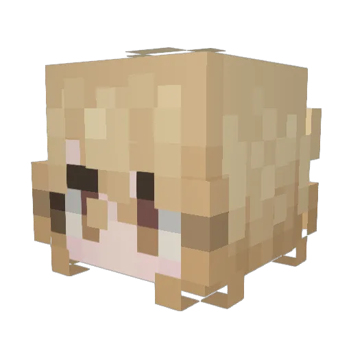 bagrielzin Minecraft avatar head, 3D render