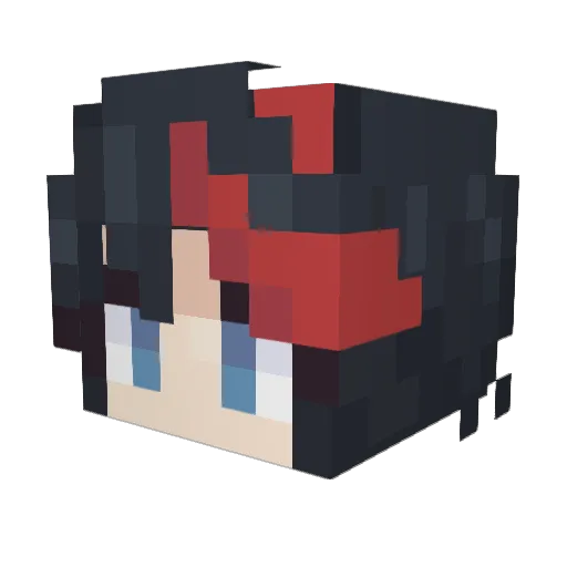 bagspam Minecraft avatar head, 3D render
