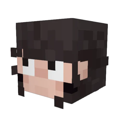 bagway Minecraft avatar head, 3D render