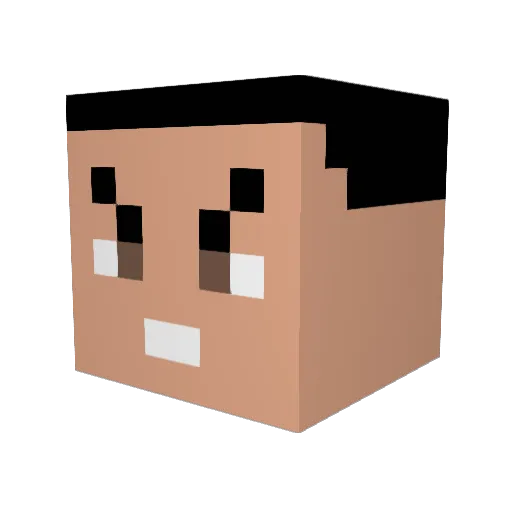 bahianode09 Minecraft avatar head, 3D render