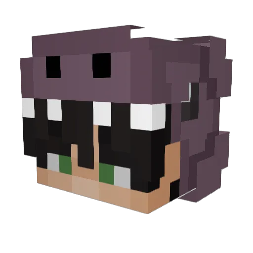 bahsc0 Minecraft avatar head, 3D render