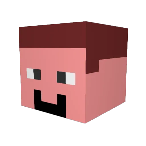 bahsoon Minecraft avatar head, 3D render