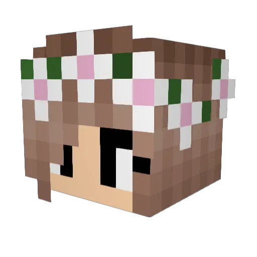 baianinho_xd3 Minecraft avatar head, 3D render