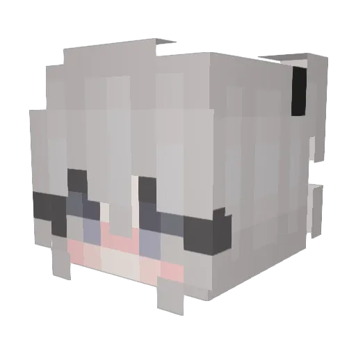 baiano_delas Minecraft avatar head, 3D render